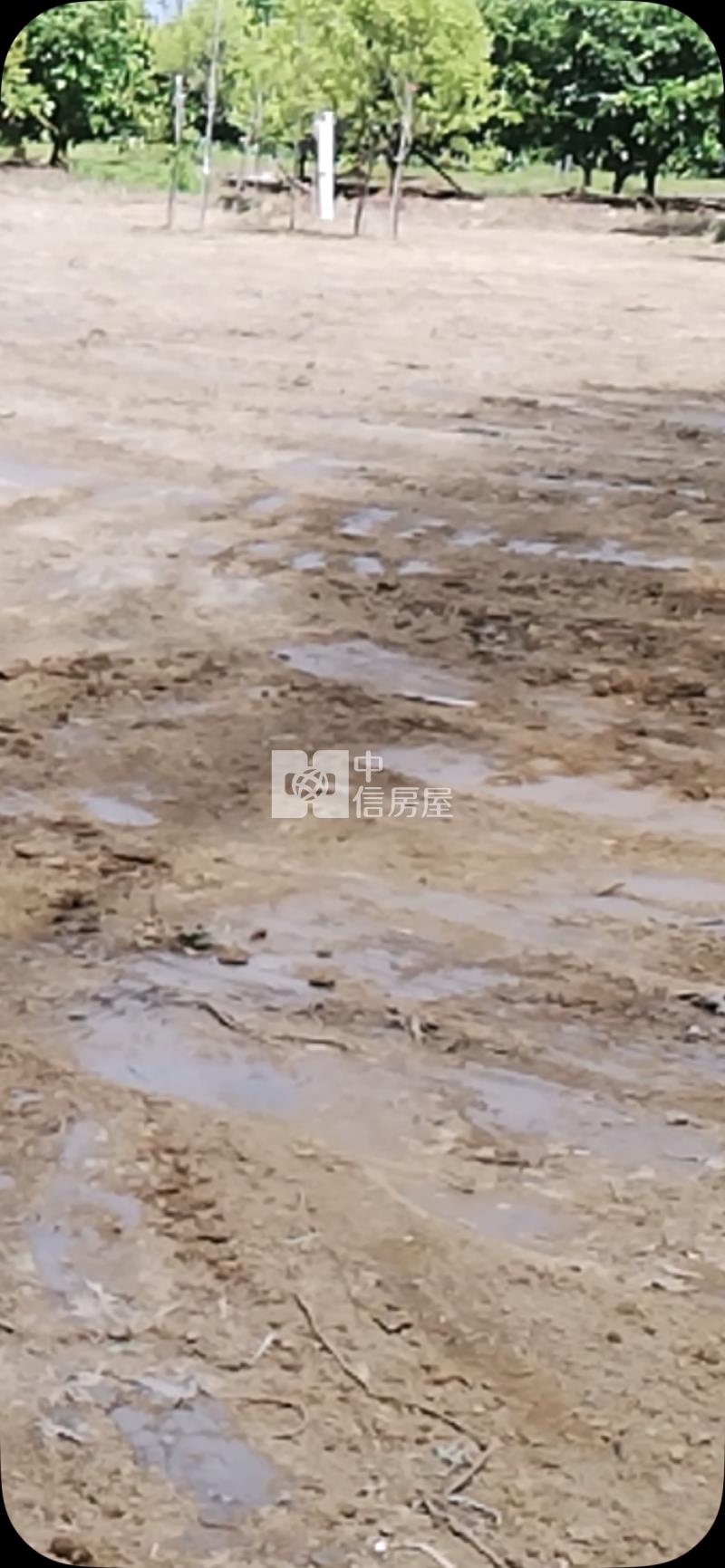 大內漂亮農地房屋室內格局與周邊環境