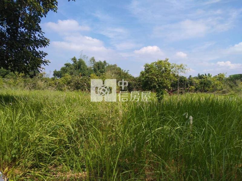 大內漂亮農地房屋室內格局與周邊環境