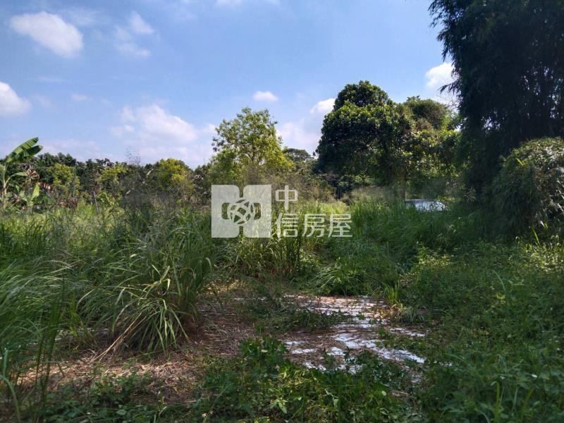 大內漂亮農地房屋室內格局與周邊環境