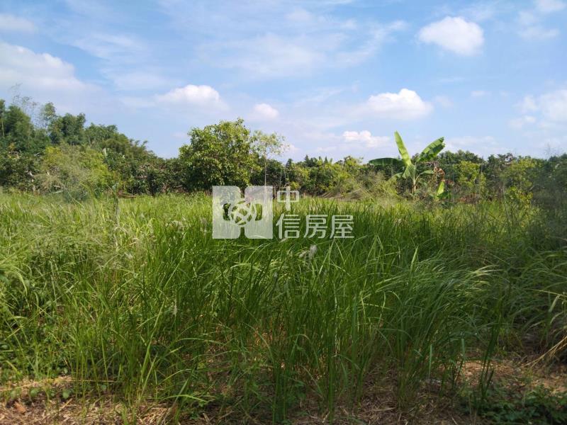 大內漂亮農地房屋室內格局與周邊環境