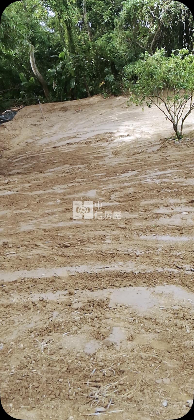 大內漂亮農地房屋室內格局與周邊環境