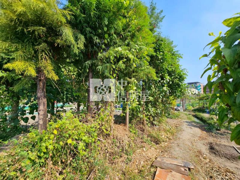 高鐵台中車站特區高潛力農地房屋室內格局與周邊環境