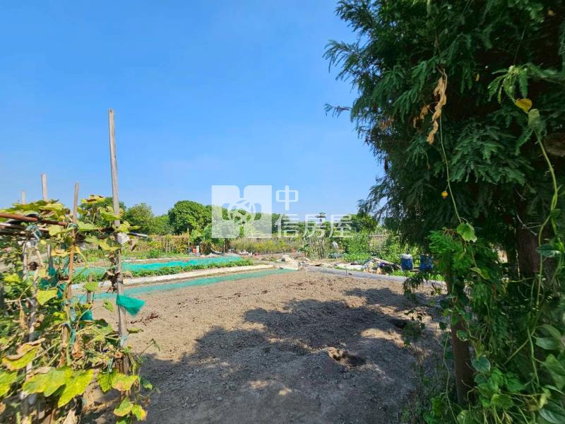 高鐵台中車站特區高潛力農地房屋室內格局與周邊環境