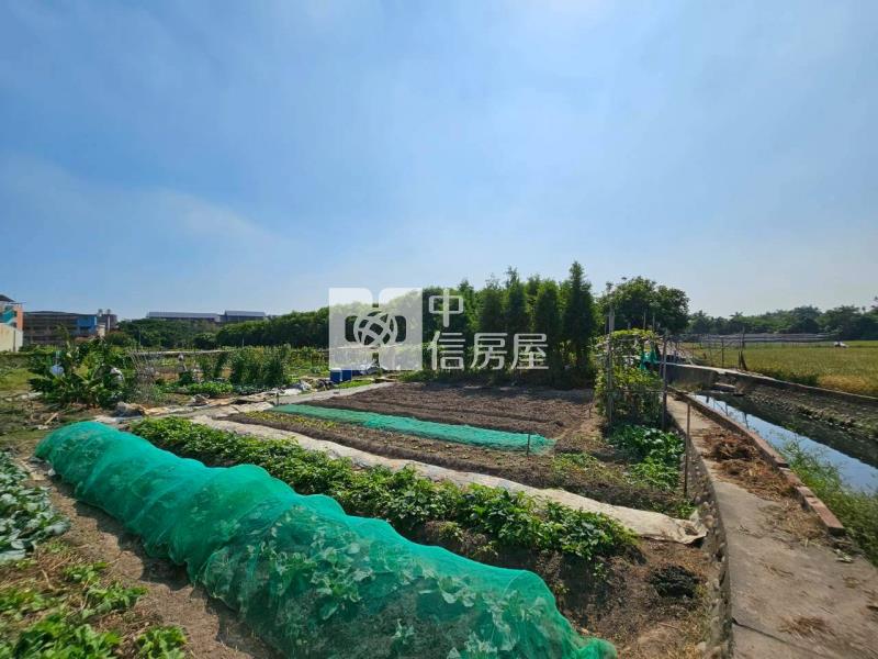 高鐵台中車站特區高潛力農地房屋室內格局與周邊環境