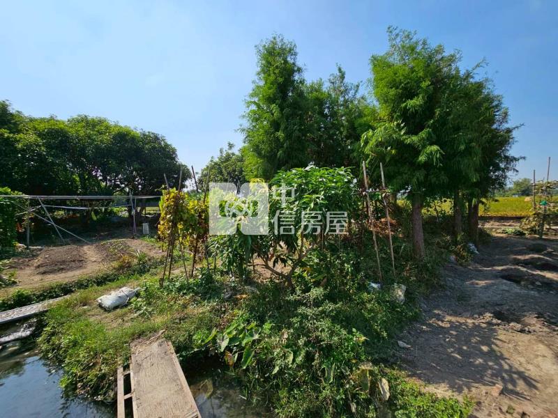 高鐵台中車站特區高潛力農地房屋室內格局與周邊環境