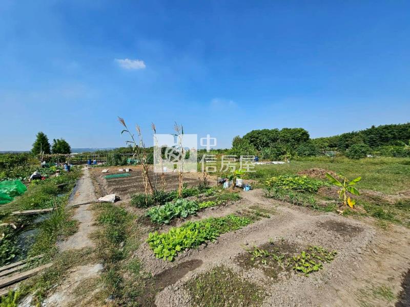 高鐵台中車站特區高潛力農地房屋室內格局與周邊環境