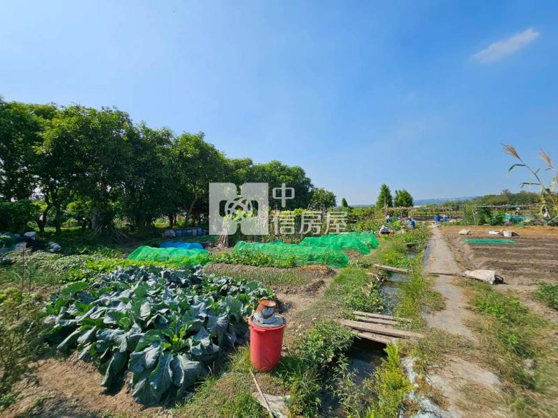 高鐵台中車站特區高潛力農地房屋室內格局與周邊環境