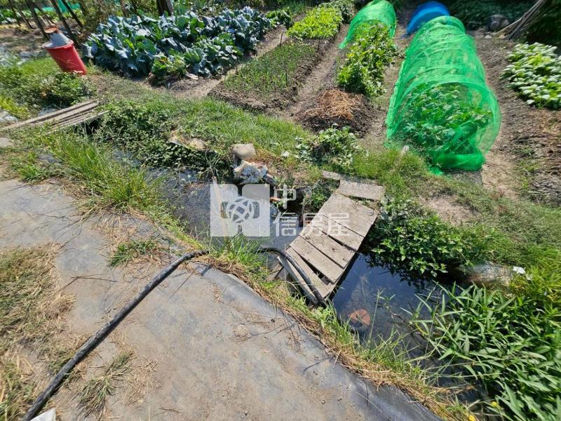 高鐵台中車站特區高潛力農地房屋室內格局與周邊環境