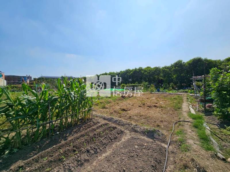 高鐵台中車站特區高潛力農地房屋室內格局與周邊環境