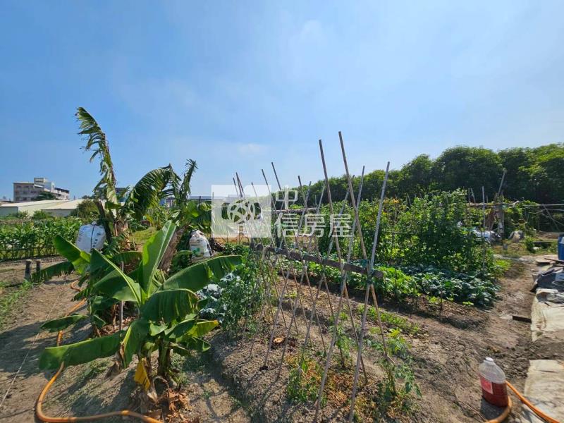 高鐵台中車站特區高潛力農地房屋室內格局與周邊環境