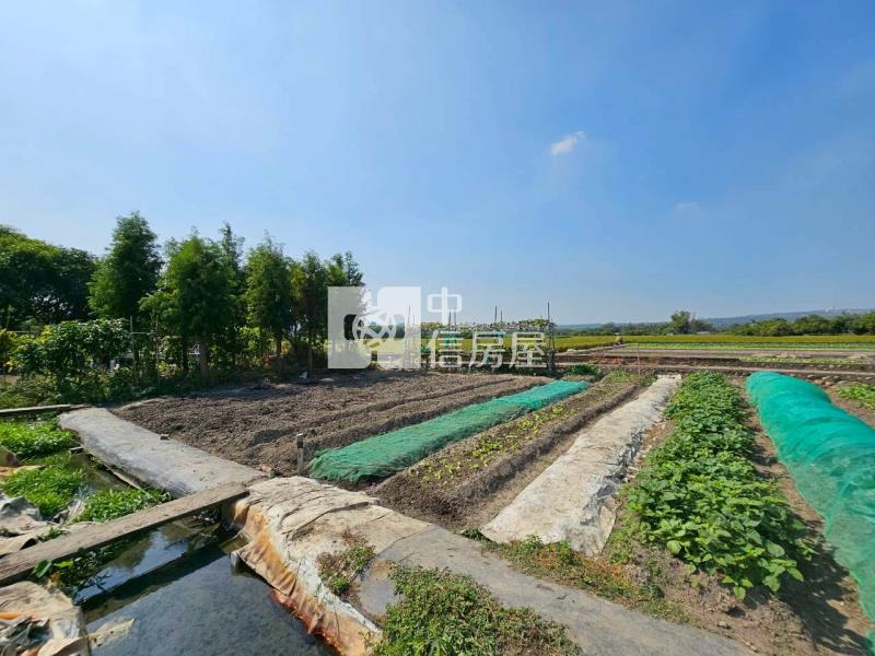 高鐵台中車站特區高潛力農地房屋室內格局與周邊環境