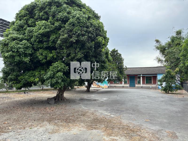 埤頭竹圍平房大建地房屋室內格局與周邊環境