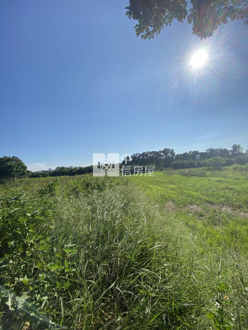 楊梅秀才路都計內農地房屋室內格局與周邊環境