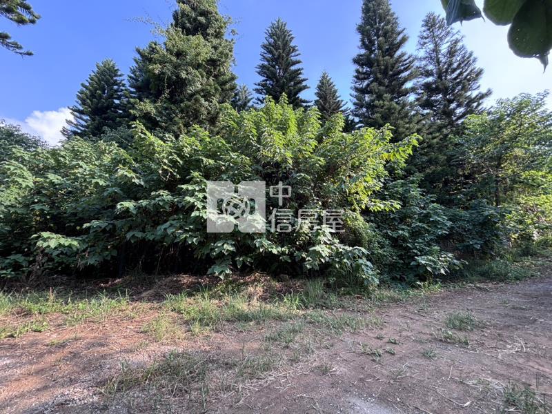 新竹交流道旁工業用地H房屋室內格局與周邊環境