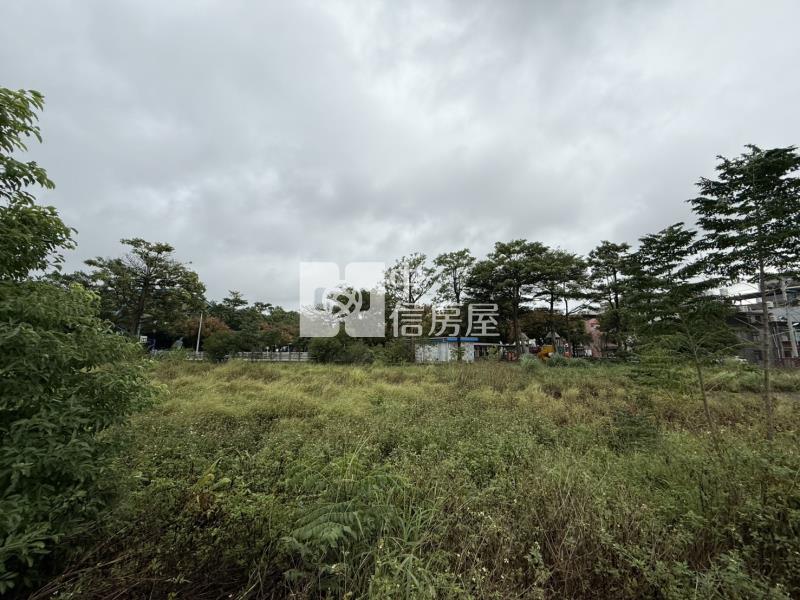 【安家】專任-華勛公園旁學校用地房屋室內格局與周邊環境