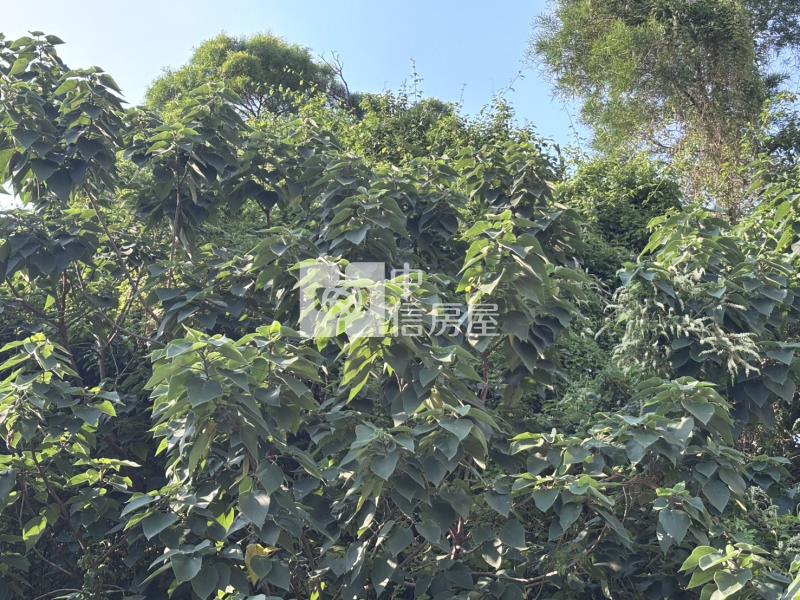 新竹交流道旁工業用地 I房屋室內格局與周邊環境