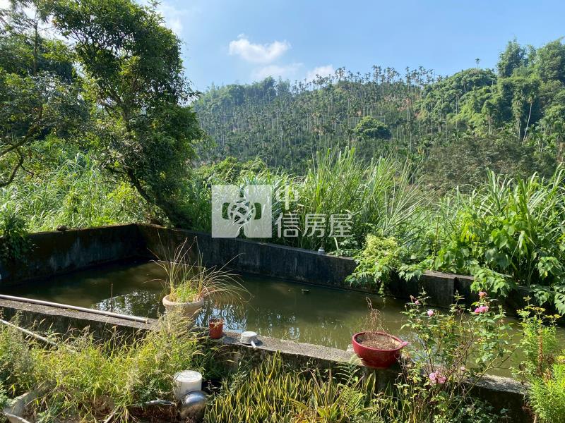 古坑休閒農地房屋室內格局與周邊環境