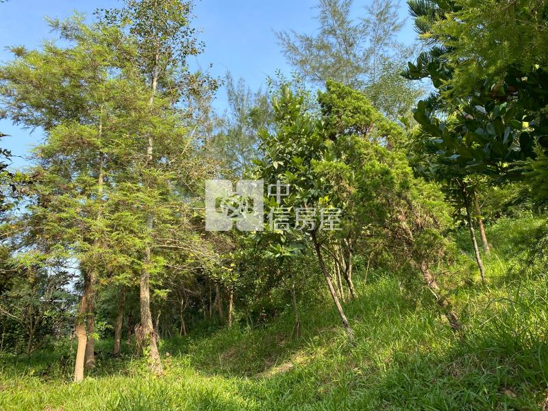 古坑休閒農地房屋室內格局與周邊環境