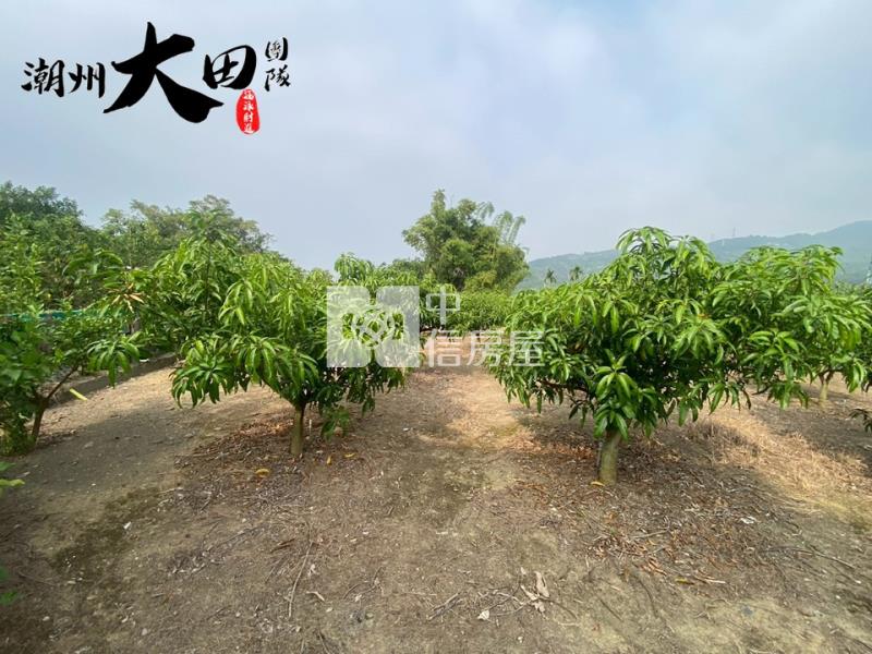 枋寮內寮農舍房屋室內格局與周邊環境