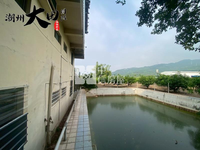 枋寮內寮農舍房屋室內格局與周邊環境