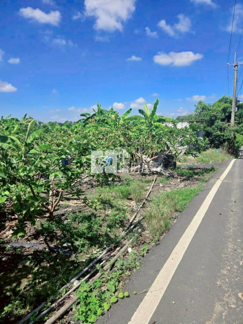 大內3分6臨路山坡美農地房屋室內格局與周邊環境