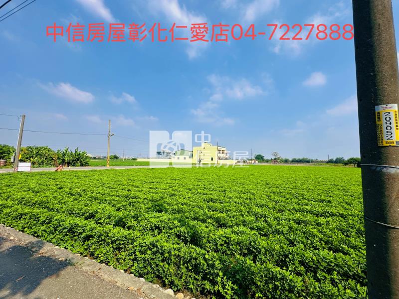 永年高中雙面臨路田地房屋室內格局與周邊環境