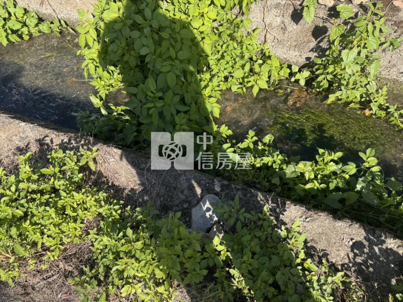 中正路旁小田房屋室內格局與周邊環境