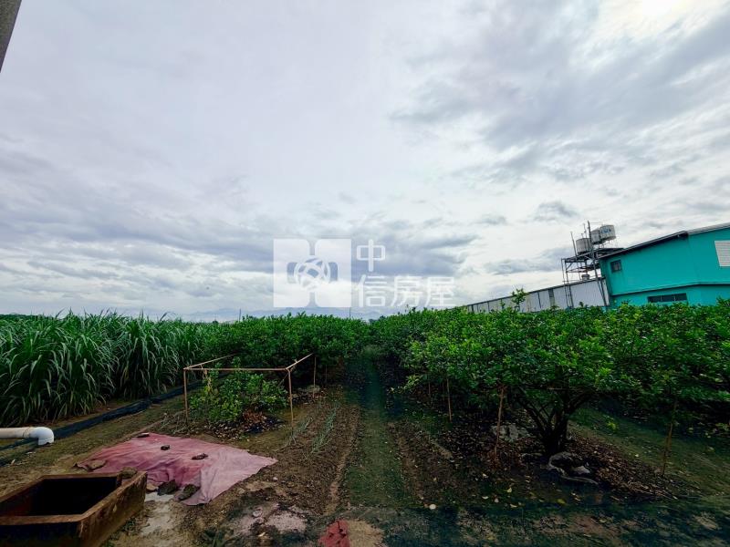 萬丹社皮檸檬園方正農地房屋室內格局與周邊環境