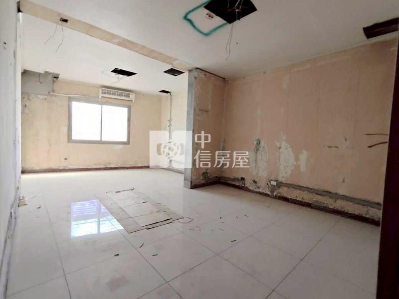 桃園中路旁地連天大別墅房屋室內格局與周邊環境