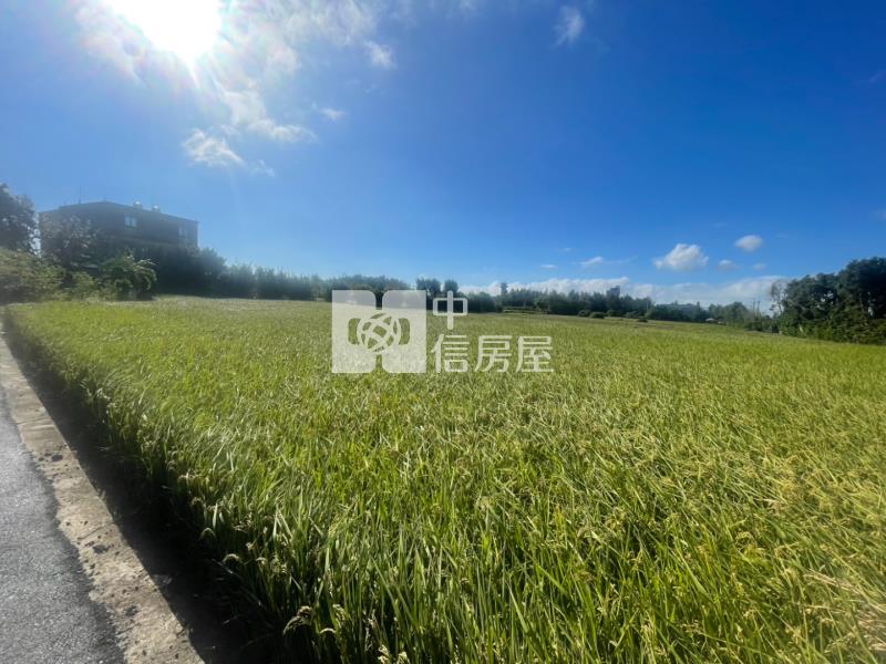 新屋區保安路雙面臨路美農地房屋室內格局與周邊環境