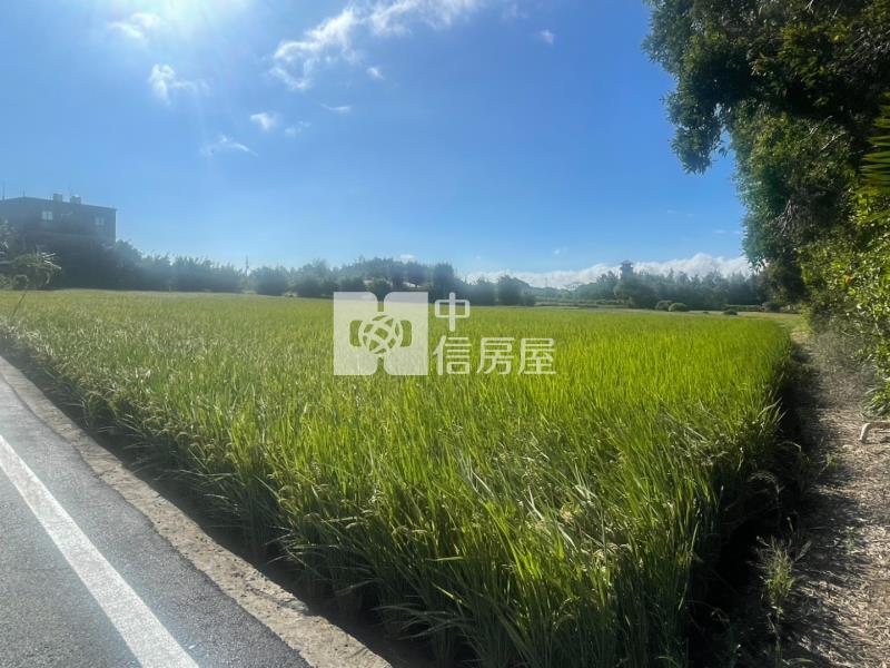 新屋區保安路雙面臨路美農地房屋室內格局與周邊環境