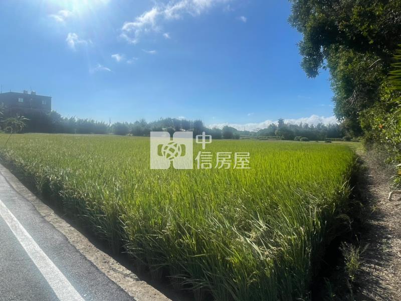 新屋區保安路雙面臨路美農地房屋室內格局與周邊環境