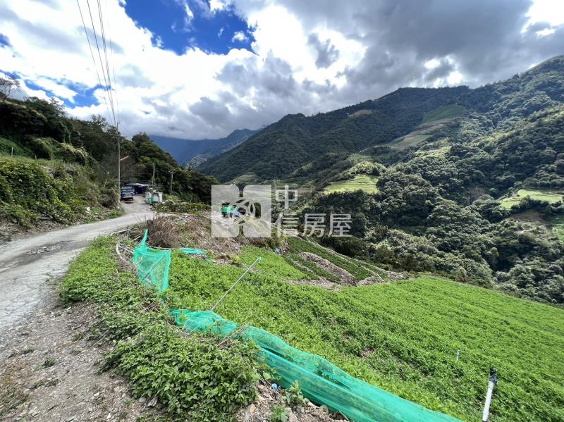 靜觀農地房屋室內格局與周邊環境