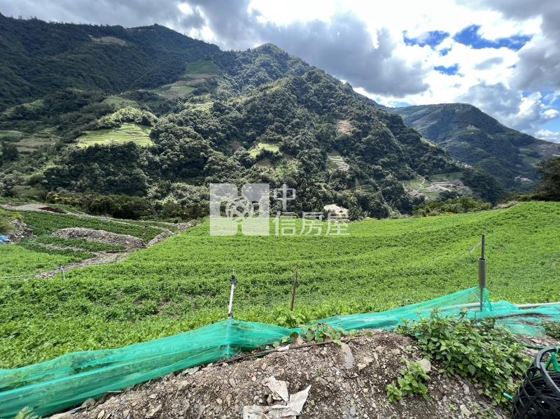 靜觀農地房屋室內格局與周邊環境