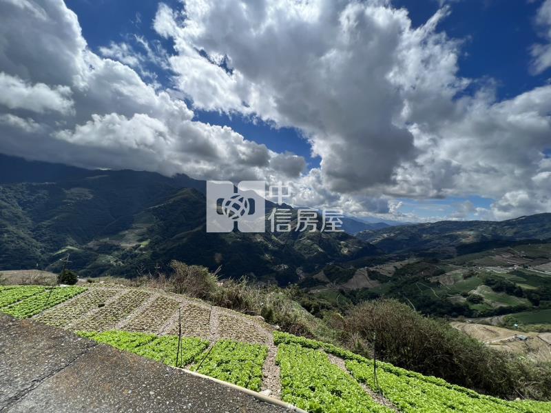 靜觀農地房屋室內格局與周邊環境