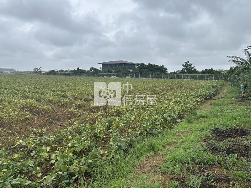 (專)觀音近66美農地(一)房屋室內格局與周邊環境