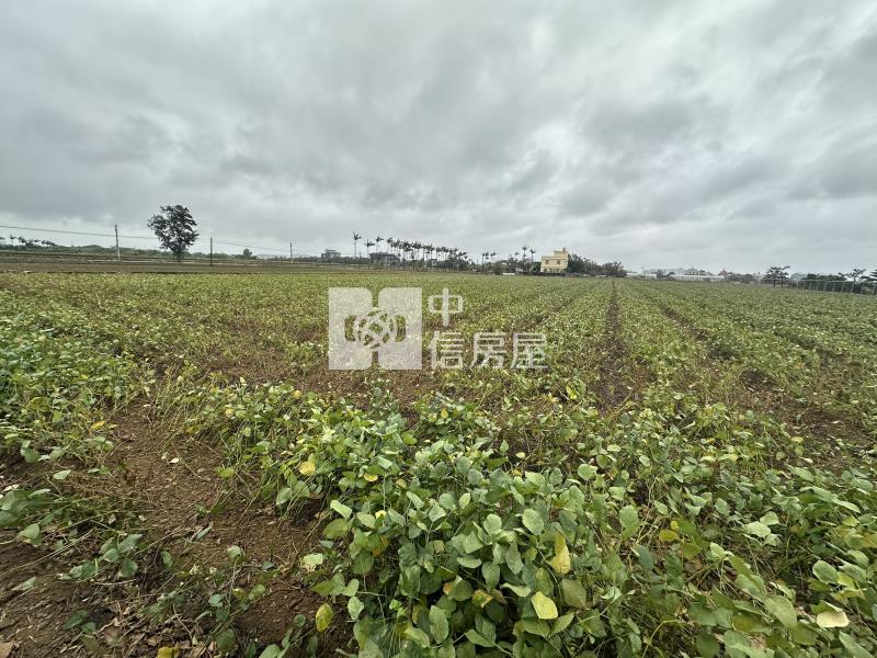 (專)觀音近66美農地(一)房屋室內格局與周邊環境