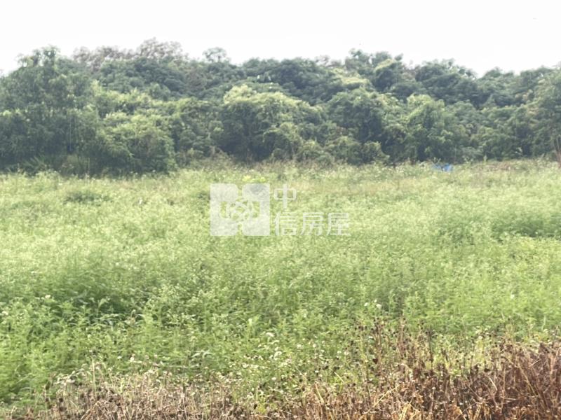 專-歸仁近高鐵好入手美農地房屋室內格局與周邊環境