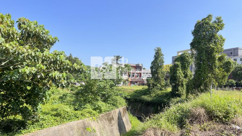 平鎮正南平路都內農房屋室內格局與周邊環境