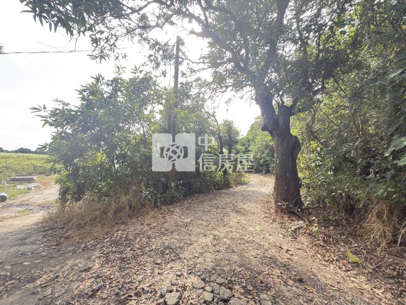 歸仁林子邊2.3分一般農房屋室內格局與周邊環境