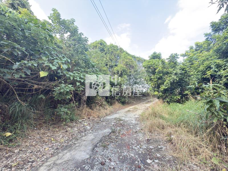 歸仁林子邊2.3分一般農房屋室內格局與周邊環境