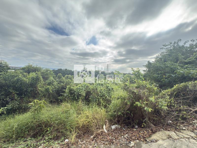 歸仁林子邊2.3分一般農房屋室內格局與周邊環境