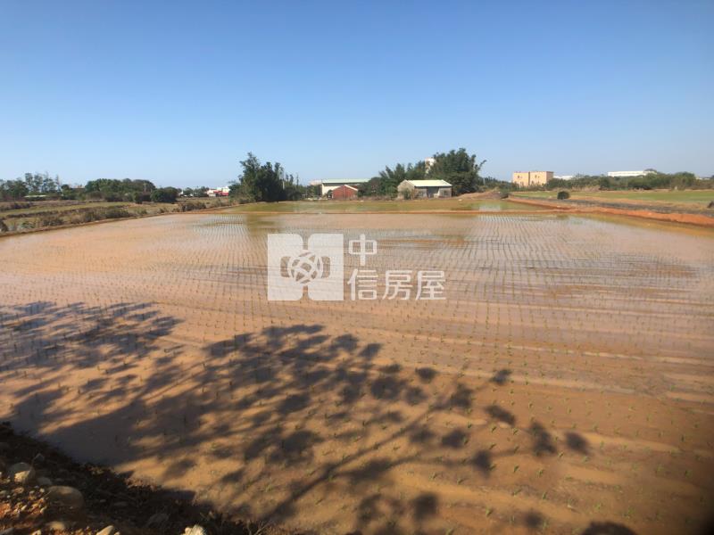 近A16橫山站【袋地】農地B房屋室內格局與周邊環境