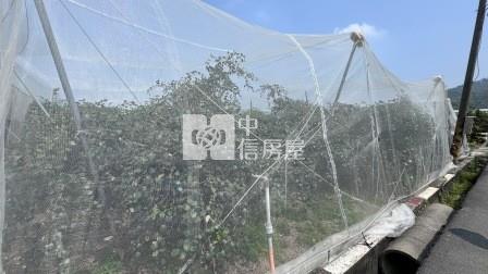 高雄土地-岡山嘉華產業區超值方正農地房屋室內格局與周邊環境