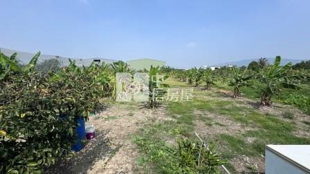 高雄土地-岡山嘉華產業區超值方正農地房屋室內格局與周邊環境