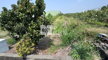 高雄土地-岡山嘉華產業區超值方正農地房屋室內格局與周邊環境