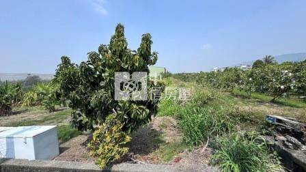 高雄土地-岡山嘉華產業區超值方正農地房屋室內格局與周邊環境