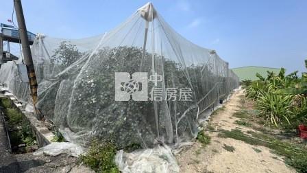 高雄土地-岡山嘉華產業區超值方正農地房屋室內格局與周邊環境