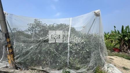 高雄土地-岡山嘉華產業區超值方正農地房屋室內格局與周邊環境