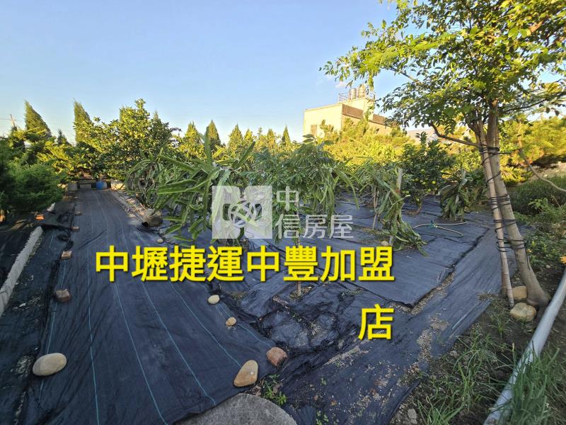 近青埔高鐵便宜大資材室房屋室內格局與周邊環境